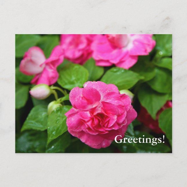 vykort - Hett Biljett (Framsida)