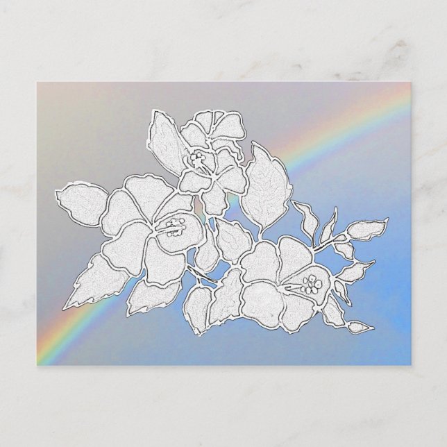 vykort - Hibiscus Flowers till Färg (Framsida)