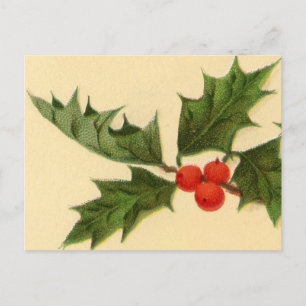 Vykort: Holly Sprig Vykort