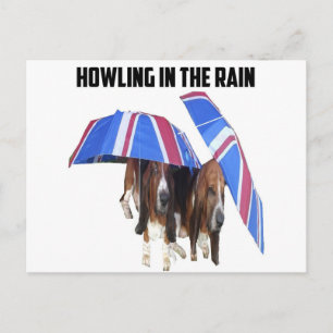 Vykort Howling In The Rain