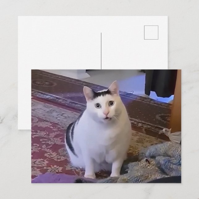 Vykort Huh Katt Meme (Fram/baksida)