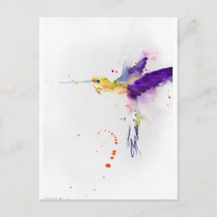 vykort - Humming Bird
