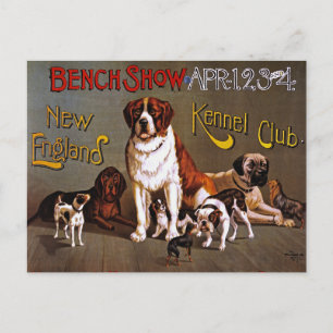 Vykort: Hund Show: Bench Show 1890 Vykort