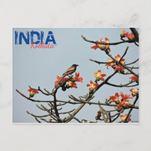 vykort - Indien - Kolkata - Indiska Vår