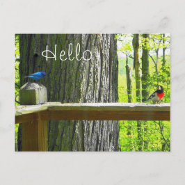 vykort Indigo Bunting & Ro Brested Grosbeak