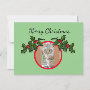 vykort - Katt och jul Hälsning