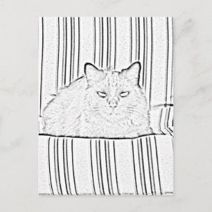 Vykort - Katt på randig stol att färglägga