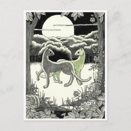 vykort: Katter do Dance Vykort