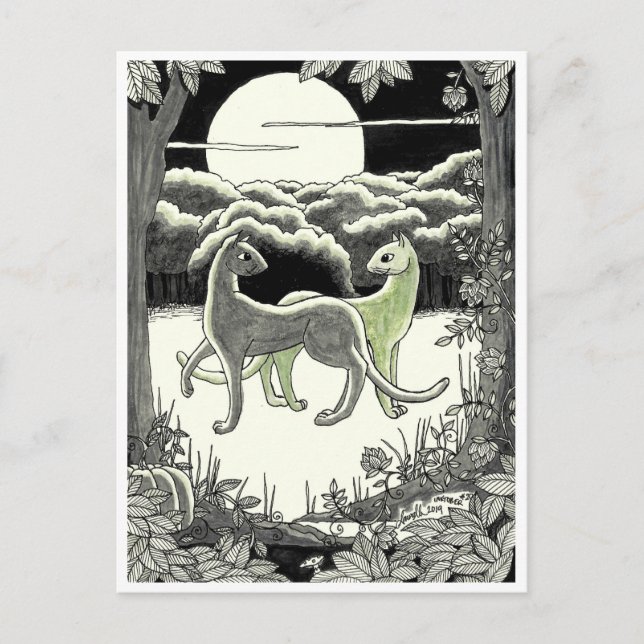 vykort: Katter do Dance Vykort (Framsida)