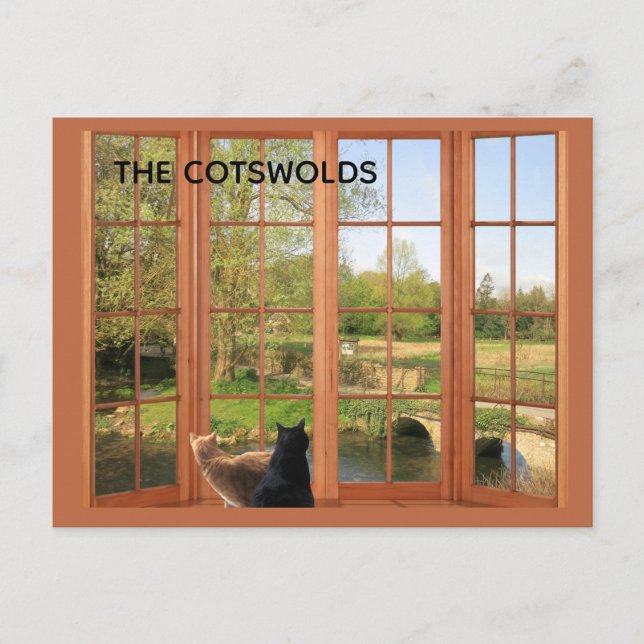 VYKORT Katter och charmanta Cotswolds landsbygd  (Framsida)