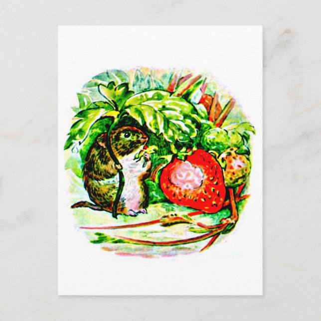 vykort-Kids Art-Beatrix-Potter 13 Vykort (Framsida)