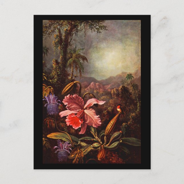 Vykort-Klassiskt/Retro-Martin Johnson Heade 15 Vykort (Framsida)