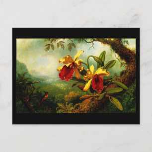 vykort - Klassiskt/Vintage-Martin Johnson Heade 11