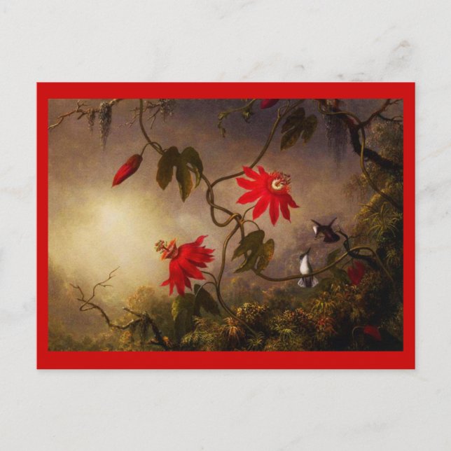 vykort - Klassiskt/Vintage-Martin Johnson Heade 21 (Framsida)
