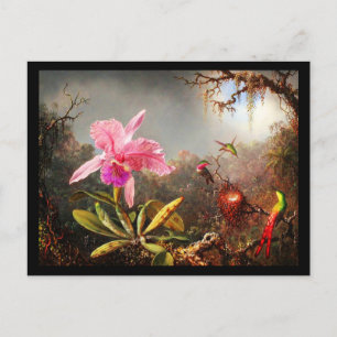 vykort - Klassiskt/Vintage-Martin Johnson Heade 29