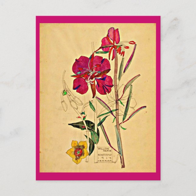 Vykort-Konst från förr-Charles Rennie Mackintosh 2 Vykort (Framsida)