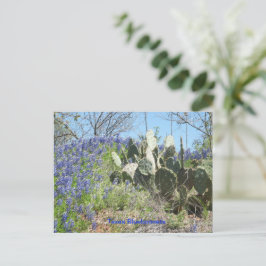 Vykort Landsbygd Texas Bluebonnets