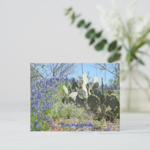 Vykort Landsbygd Texas Bluebonnets och Kaktus