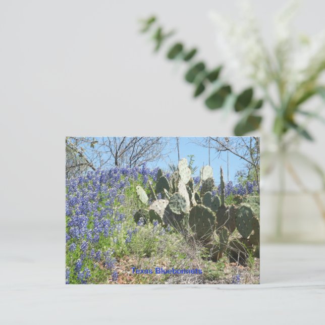 Vykort Landsbygd Texas Bluebonnets och Kaktus (Stående Fram)