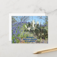 Vykort Landsbygd Texas Bluebonnets och Kaktus