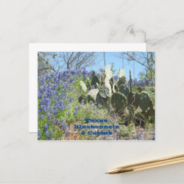 Vykort Landsbygd Texas Bluebonnets och Kaktus