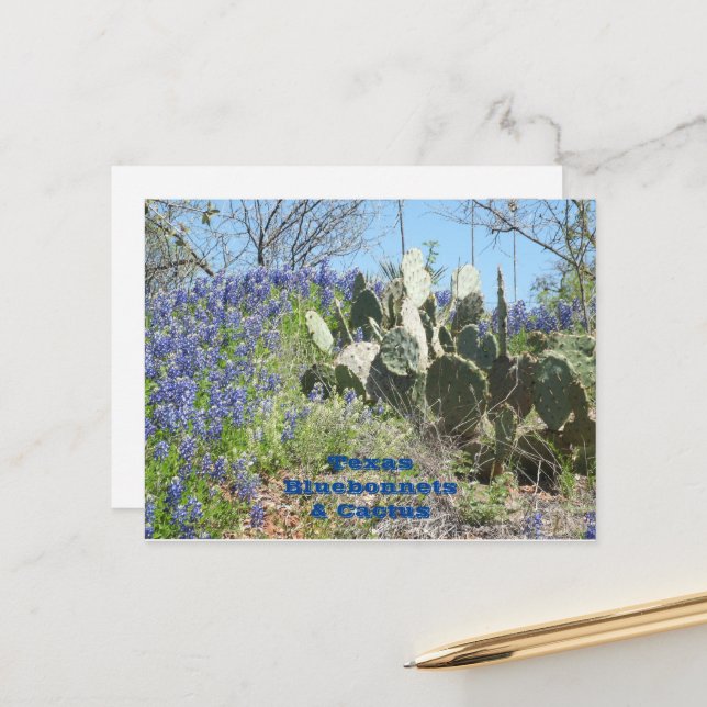 Vykort Landsbygd Texas Bluebonnets och Kaktus (Fram/Back In Situ)