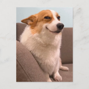 Vykort Leende Corgi Meme
