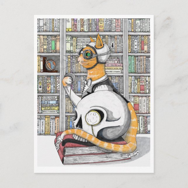 Vykort: Luftfart för katter Vykort (Framsida)