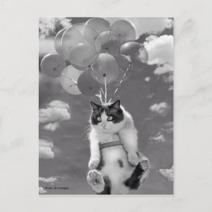 vykort: Lustigt kattflyg med ballonger Vykort