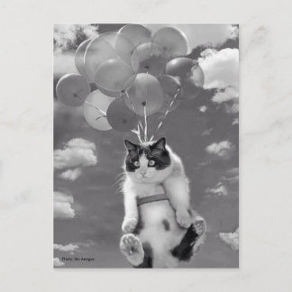 vykort: Lustigt kattflyg med ballonger Vykort