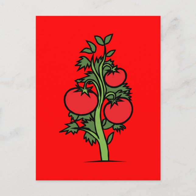 vykort-mat/dryck-24 vykort (Framsida)