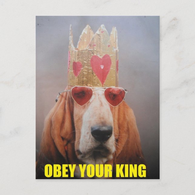 Vykort med basset hound-kung (Framsida)