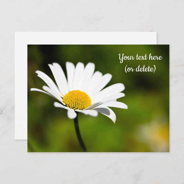 Vykort med en Daisy (Fram/baksida)