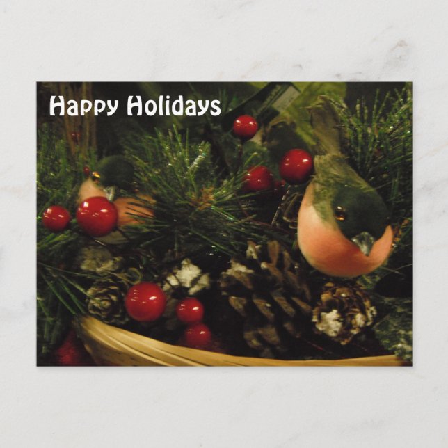 Vykort med fåglar (Framsida)