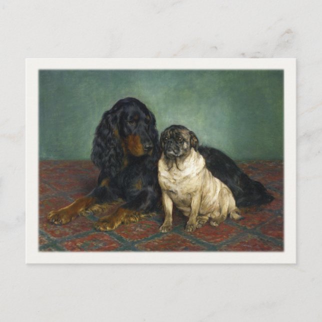 vykort med färgad Hundar (Framsida)