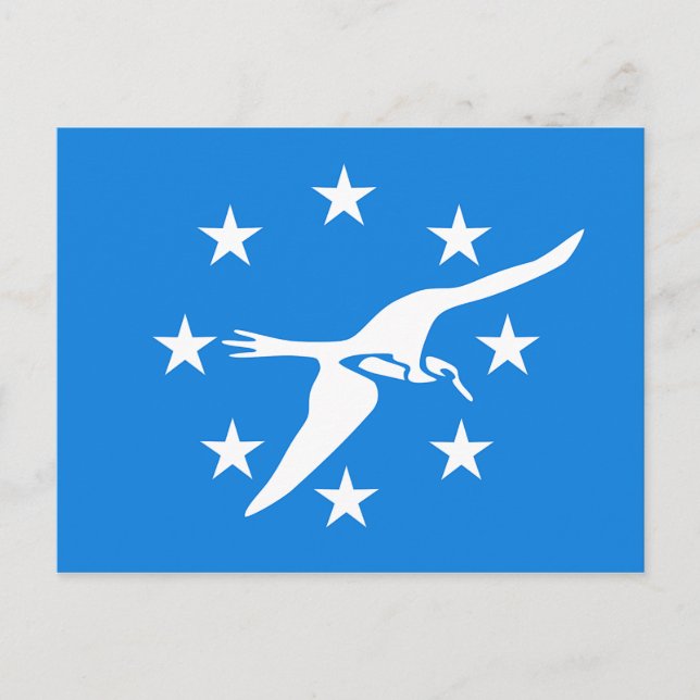 vykort med Flagga av Corpus Christi, Texas, USA (Framsida)