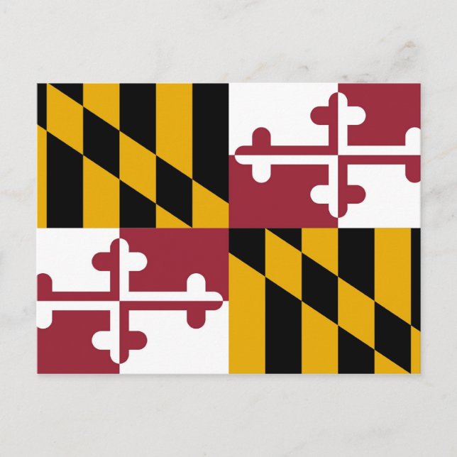 Vykort med Flagga Maryland State - USA (Framsida)