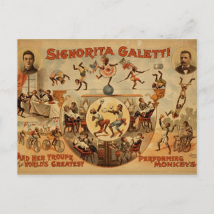 Vykort med gammalt cirkus-Poster