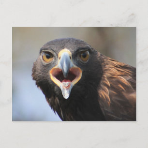vykort med gyllene Eagle