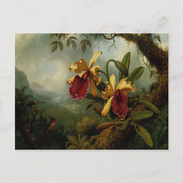 vykort med Martin Johnson Heade Painting (Framsida)