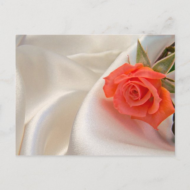 Vykort med rosa ros (Framsida)