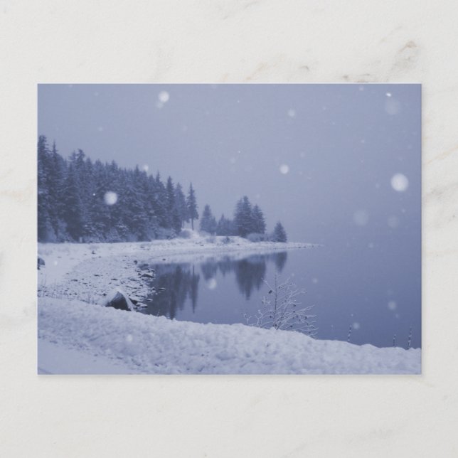 Vykort med snöfall vid havet (Framsida)