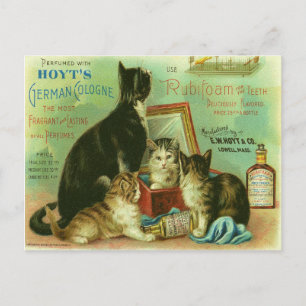 Vykort med vintageillustration av kattungar