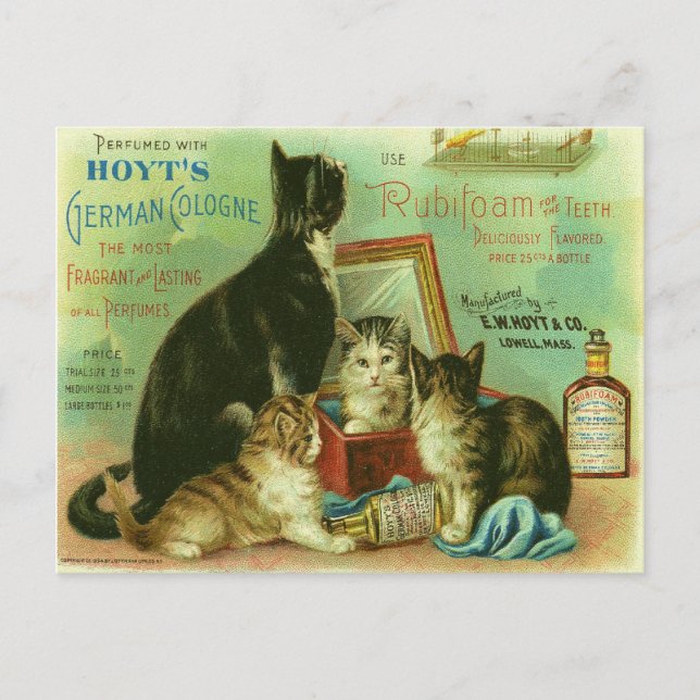 Vykort med vintageillustration av kattungar (Framsida)