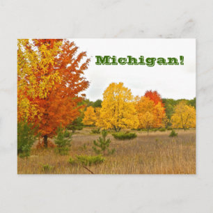 vykort "MICHIGAN KOMMER ATT LEVA MED VIBRANT FÄRG"