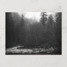 vykort - Misty Salmon River, Oregon