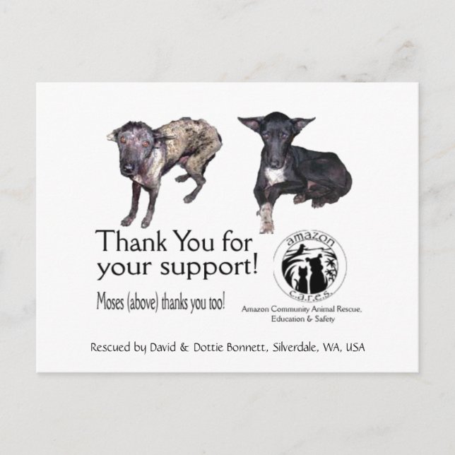 Vykort: Moses, före och efter sin räddning Vykort (Framsida)