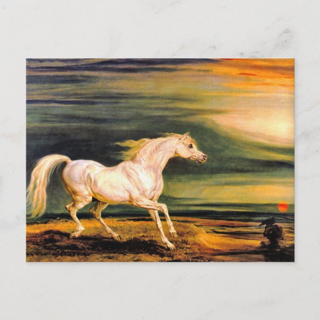 vykort: Napoleons Marengo Vykort (Framsida)