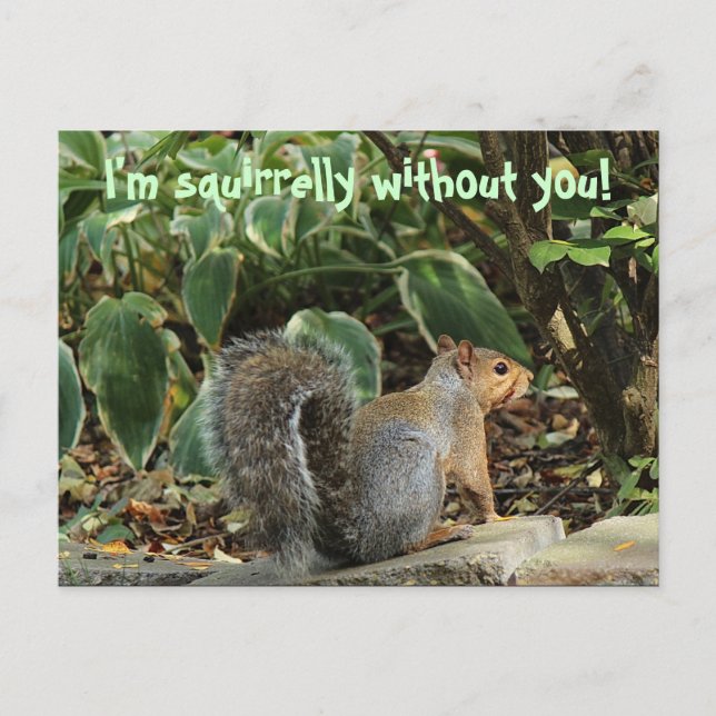 Vykort när någon saknas (Framsida)