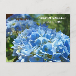 Vykort Natur Anpassat Företag Hydrangeor